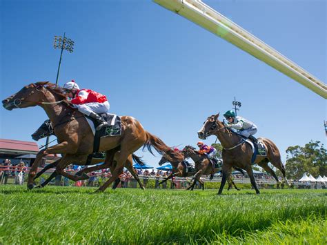 pick7 competition|victorian racing today.